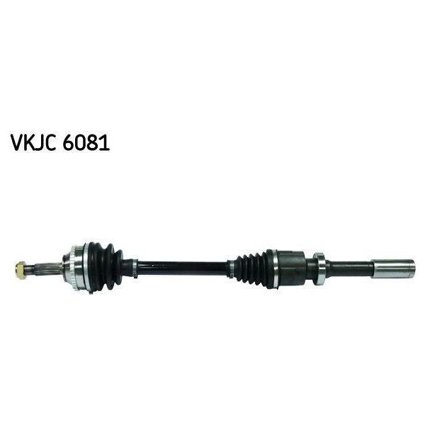 Skf Vkjc 6081 Albero Motore Anteriore Destro Per Renault Clio Ii (BB0/1/2, CB0/1/2)-image