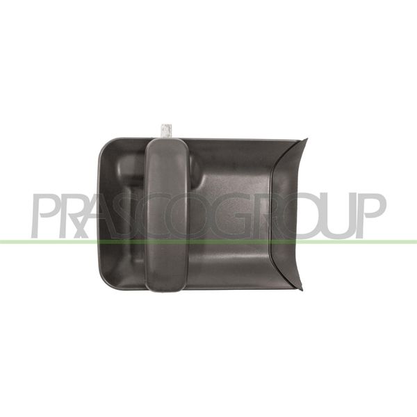 Prasco PG9048104 - Oe 9101CE Maniglia Porta, Posteriore Sinistra Per Berlingo, Partner (5, G)-image