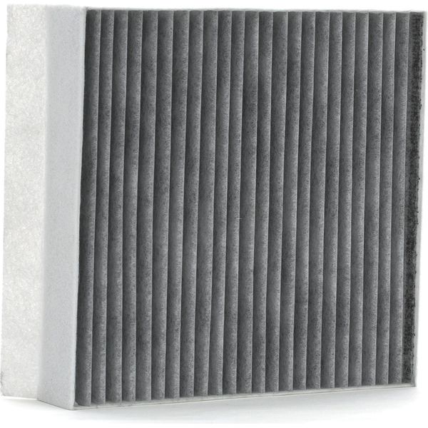 Ridex 424I0319 - Filtro Aria Esterna Oe 1110 V003 Per Cabrio (450), City-Coupe (450), Crossblade (450), Fortwo Cabrio (450), Fortwo Cabrio (451), Fortwo (450), Fortwo (451)-image