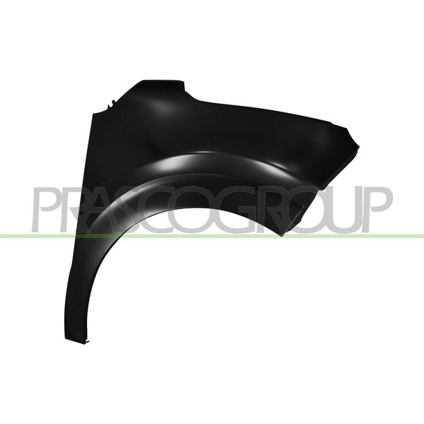 Prasco CI3283003 - Parafango Oe 9812515080, Anteriore Destro Per C3 Iii (Sx)-image