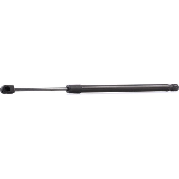 Ridex 219G0016 - Ammortizzatore Posteriore Oe 1 070 024 Per Focus (Daw, Dbw)-image