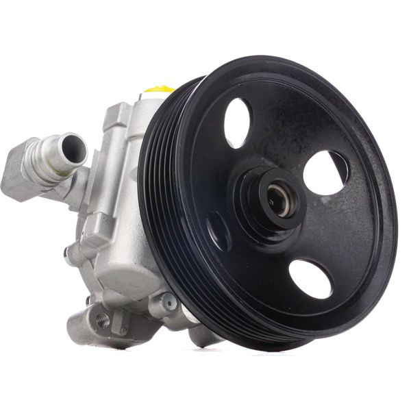 Ridex 12H0180 - Oe 4 466 91 01 Servo Pompa Per Cls (C219), Classe E (W211), Classe E (S211), Classe S (W221)-image