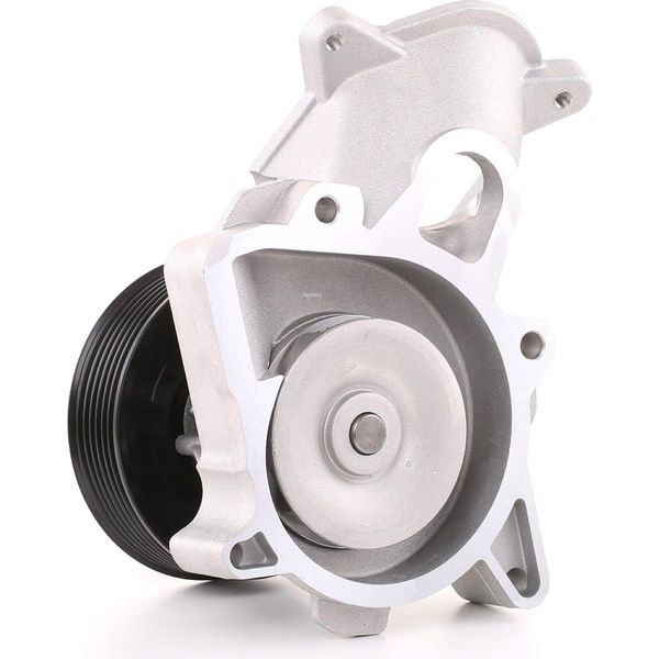 Ridex 1260W0053 - Pompa Acqua Oe 11517790135 Per Serie 1 (E81), Serie 1 (E87), Serie 3 (E46), Serie 3 (E90), Serie 3 (E93), Serie 3 (E92), Serie 3 (E91), Serie 5 (E39), Serie 5 (E60), Serie 5 (E61), Serie 6 (E63), Serie 6 (E64), X3 (E83), X5 (E70), X6 (E71), R60-image