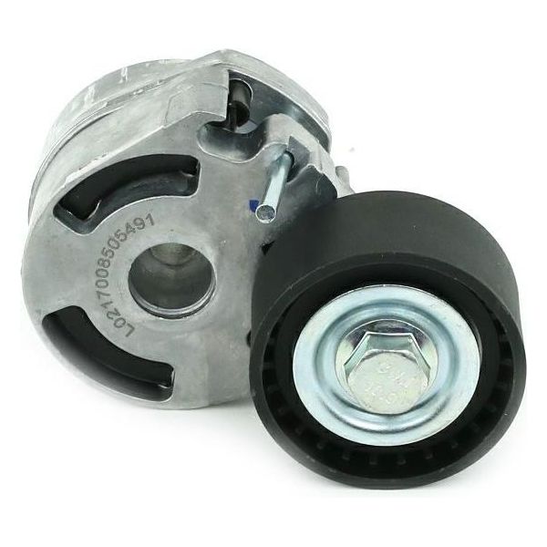 Fast FT44610 Rullo Tenditore Cinghia Trapezoidale Dentata 53 Mm Per Ford Fiesta Mk5 Hatchback (JH1, JD1, JH3, JD3) Fusion (Ju) Fiesta Mk5 Furgone Per CitroËN-image