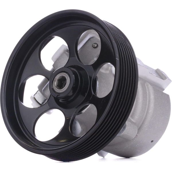 Ridex 12H0189 - Oe 491A05303R Servopumpe FüR Primastar (X83), Primera (P12), Movano (X70), Vivaro (J7), Vivaro (F7), Vivaro A (E7), Vivaro A (X83), Avantime (DE0), Espace Iii (Je), Espace Iv (Jk), Laguna Iii, Laguna I, Laguna Ii, Trafic Ii (Jl), Trafic Ii (Fl), Trafic Ii (El), Vel Satis (BJ0)-image