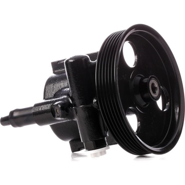 Ridex 12H0191 - Oe 491104288R Servo Pompa Per Primastar (X83), Movano (X70), Vivaro (J7), Vivaro (F7), Vivaro A (E7), Vivaro A (X83), Espace Iv (Jk), Laguna I, Laguna Ii, Megane I, Scenic I, Trafic Ii (Jl), Trafic Ii (Fl), Trafic Ii (El)-image
