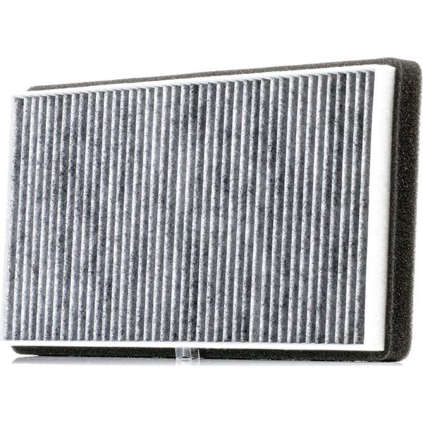 Ridex 424I0316 - Oe 1089176 Filtro Aria Per Fiesta Iii, Fiesta Iv, Fiesta V, Ka (Rb), Puma, Street Ka (RL2), Felicia (6U)-image