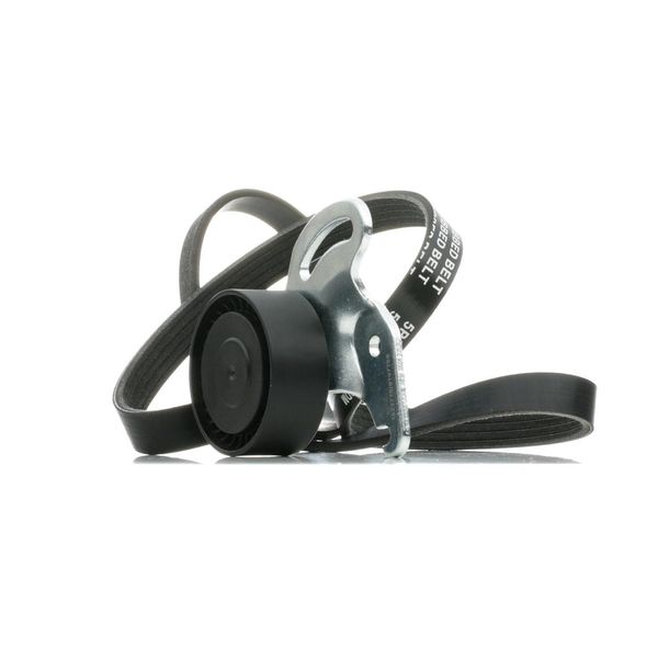 Ridex 542R0231 - Set Di Cinghie A V Oe 7701476473 Per Almera Ii (N16), Micra Iii (K12), Clio Ii, Clio Iii, Grand Scenic Ii (Jm), Kangoo (Kc), Kangoo (Fc), Logan I, Megane Ii, Modus (F/JP0), Scenic Ii, Thalia I (Lb), Thalia Ii (Lu)-image