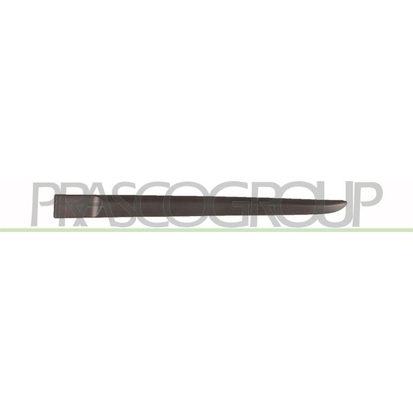 Prasco RN3251454 - Oe 7701476428 Modanatura, Posteriore Sinistra Per Clio Iii-image
