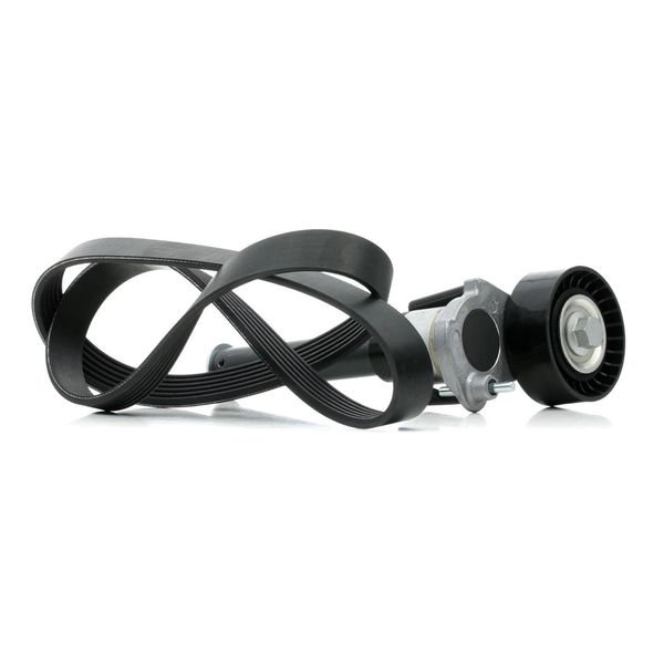 Ridex 542R0390 - Kit Di Fissaggio Per A3 (8P), Tt (8J), Alhambra (710, 711), Altea (5P), Leon (1P1), Toledo Iii (5P2), Octavia Ii (1Z), Superb Ii (3T), Yeti (5L), Maggiolino (5C), Cc (358), Eos (1F), Golf V (1K), Golf Vi, Jetta Iii (1K2), Jetta Iv, T6, Passat (365, 362), Passat (3C), Passat Cc (357), Scirocco, Sharan (7N), Tiguan (5N)-image
