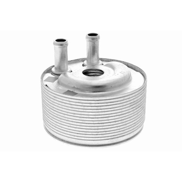 Ackoja A38-60-0007 Radiatore Dell'olio Motore Per Nissan NP300 Navara Pickup (D40) Pathfinder Iii (R51) NP300 Navara Pianale / Telaio (D40) Cabstar-image