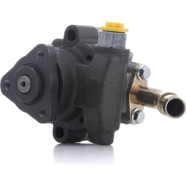 Ridex 12H0223 - Servo Pompa Oe QVB101240 Per Discovery Ii (L318)-image