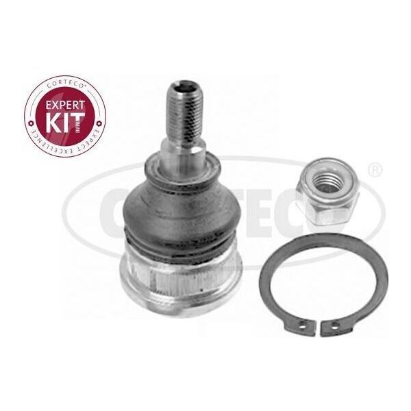 Corteco Giunto Sferico Inferiore Anteriore Destro Sinistro Per Hyundai I20 (Pb, Pbt) 49400696-image