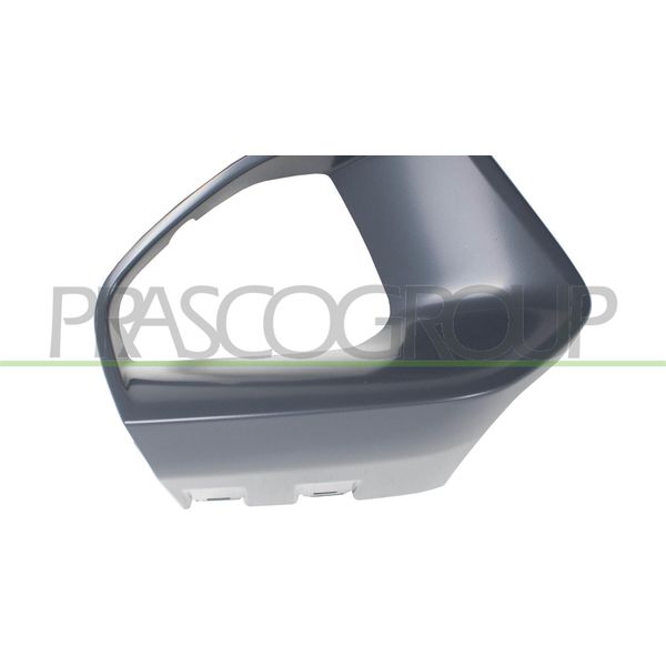 Prasco BM0341249 - Telaio Oe 51118496510, Griglia Radiatore Per Serie 3 (G20), Serie 3 (G21)-image