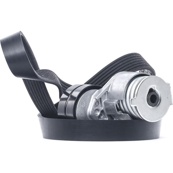 Ridex 542R0029 - Oe 11 72 021 22R Kit Di Fissaggio Per Grand Scenic Ii (Jm), Grand Scenic Iii (Jz), Megane Cc, Megane Ii, Megane Iii, Scenic Ii, Scenic Iii-image
