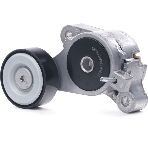 Ridex 310T0309 - Oe 03C145299M Puleggia Tenditore, Cinghia A V Per Alhambra (710, 711), Ibiza (6J, 6P), Fabia Ii (54), Maggiolino (5C), Cc (358), Eos (1F), Golf Plus (5M), Golf V (1K), Golf Vi, Jetta Iii (1K2), Jetta Iv, Passat (3C), Passat (365, 362), Passat Cc (357), Polo (6C, 6R), Scirocco, Sharan (7N), Tiguan (5N), Touran (1T)-image