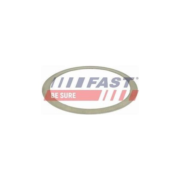 Fast FT84501 Dichtung, Abgasrohr Oe 51823801 Kompatibel Mit Zafira, Vectra, Signum, Mokka, Insignia, Combo, Cascada, Astra J, Astra H, Musa, Delta, Renegade, Compass, Sedici, Punto, Linea, Idea, Grande Punto, Freemont, Ducato, Doblo, Croma, Bravo, 500X, 500L, Malibu, Spider, Mito, Giulietta, Brera, Alf. 159-image