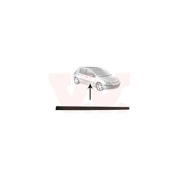 Van Wezel 4040404 - Modanatura Oe 8545W1, Anteriore Destra Per 307, 307 Sw (3H)-image