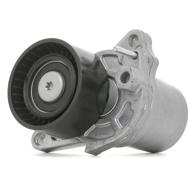 Ridex 310T0302 - Oe 1195500Q0G Spannrolle, Keilrippenriemen FüR Talento, C-Klasse (W205), C-Klasse (S205), Vito (W447), Qashqai +2 I (J10), Qashqai Ii (J11), X-Trail (T32), Vivaro (X82), Vivaro B (X82), Espace V (Jr), Fluence (L3), Grand Scenic Iii (Jz), Grand Scenic Iv (R9), Kadjar (Ha, Hl), Koleos Ii (Hc), Megane Cc, Megane Iii, Megane Iv, Scenic Iii, Scenic Iv, Talisman, Trafic Iii (Jg), Trafic-image