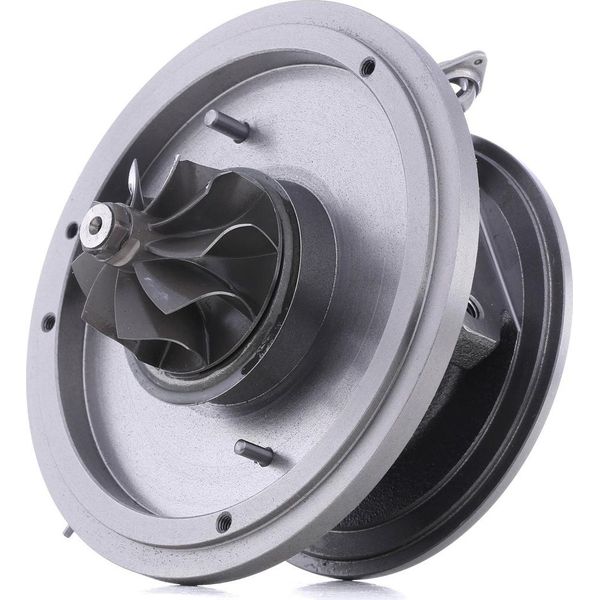 Ridex 4973C0036 - Gruppo Di Rotolamento Oe 7794021K, Caricatore Per 5Er (E60), 5Er (E61), X3 (E83)-image