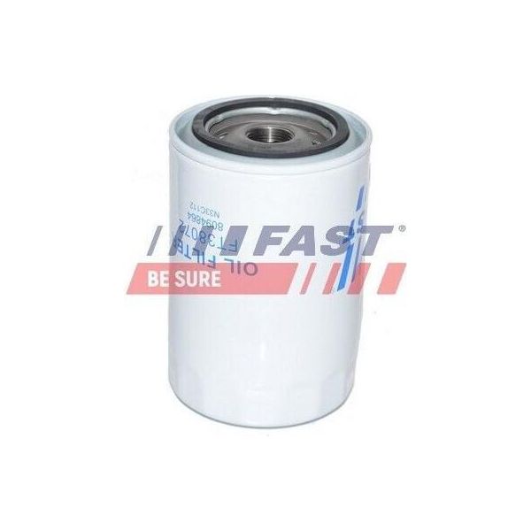 Fast FT38072 - Filtro Olio Oe 1109 Af Per Punto, Santa Fe Ii (Cm), 508 (8E), Tiguan (5N)-image