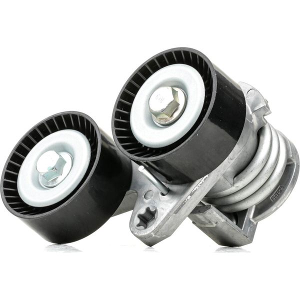 Ridex 310T0337 - Oe 11 28 7 563 927 Puleggia Tenditore, Cinghia A V Per Serie 1 (E88), Serie 1 (E82), Serie 3 (E90), Serie 3 (E93), Serie 3 (E92), Serie 3 (E91)-image