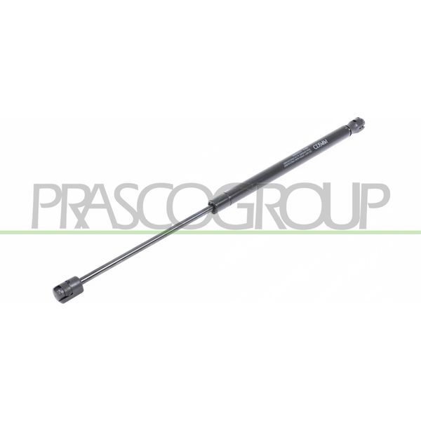Prasco CI3049055 - Ammortizzatore Posteriore Oe 8731H8 Per C2 (Jm)-image