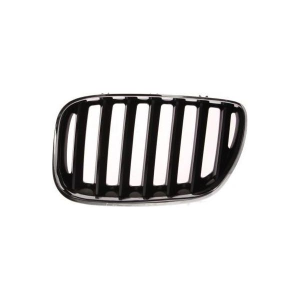 Blic 6502-07-0095995P - Oe 51 13 7 113 733 Griglia Radiatore, Sinistra Per X5 (E53)-image