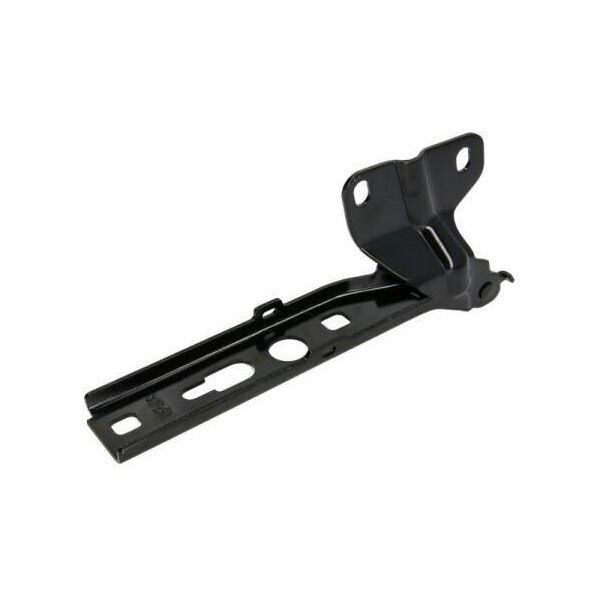Blic 6802-00-0033452P - Oe 8U0 823 302 Cerniera, Cofano Per Q3 (8U)-image