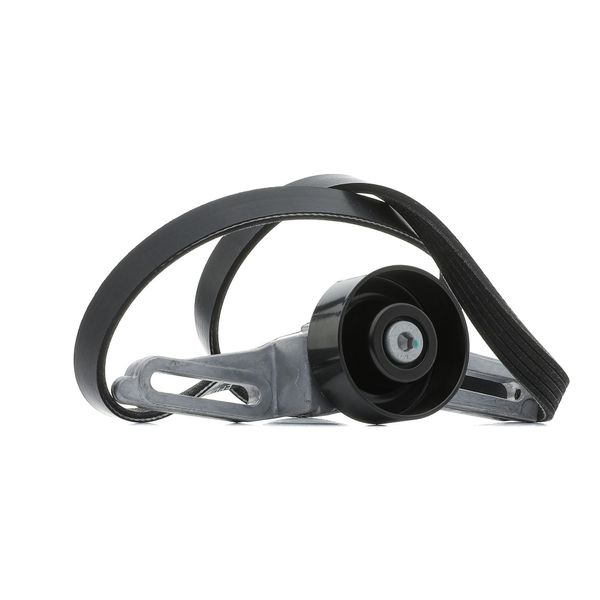 Ridex 542R0242 - Oe 6453 Ae Kit Di Fissaggio Per Saxo, 106 Ii-image