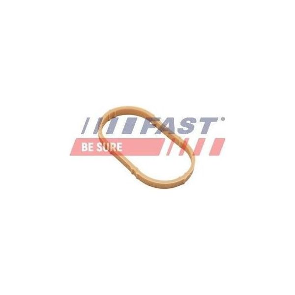 Fast FT49461 - Oe 1403500QAA AnsaugkrüMmerdichtung FüR Duster, Logan, Vivaro A (X83), Vivaro (J7), Vivaro (F7), Vivaro A (E7), Clio Ii, Espace Iii (Je), Espace Iv (Jk), Kangoo (Kc), Kangoo (Kw), Kangoo (Fc), Kangoo (Fw), Laguna I, Laguna Ii, Logan I, Megane I, Megane Ii, Scenic I, Scenic Ii, Thalia I (Lb), Trafic Ii (Jl), Trafic Ii (Fl), Trafic Ii (El)-image