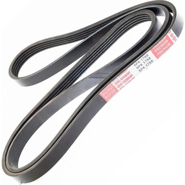 MASTER-SPORT 5PK1788-PCS-MS Cinghia A V, Cinghia Piatta Per Rover 800 Hatchback (Xs)-image