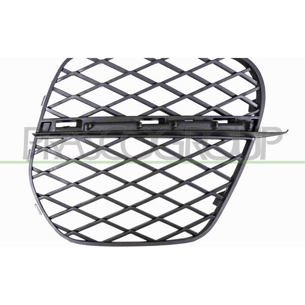 Prasco BM8242133 - Griglia Di Ventilazione Oe 51117222858, Destra Per X5 (E70)-image