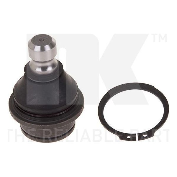 Bullone Braccio Di Controllo Nissan Anteriore Navara/Pathfinder 2.5/3.0Dci 05- Inferiore Sinistro/Destro-image