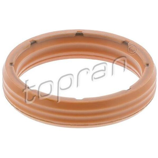Topran 108 761 Guarnizione, Filtro Idraulico Oe 01M325443 Compatibile Con Vento, Transporter Iv, Sharan, Polo 6V, Passat 3B, Passat 35I, New Beetle, Golf Iv, Golf Iii, Bora, Octavia, Toledo, Leon, Ibiza, Cordoba, Alhambra, A6 4B, A6 4A, A4 8D, A3 8L-image