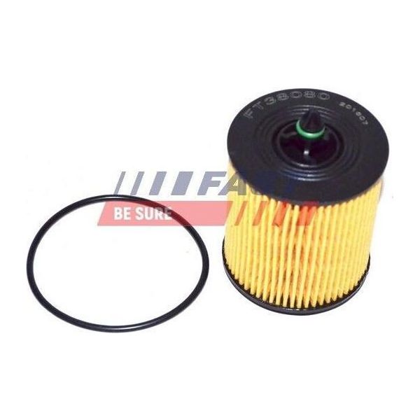 Filtro Olio Fast FT38080 Elemento Filtrante Per Opel Zafira B (A05) Insignia Caravan Astra G Cc (T98) Zafira A (T98) Vectra C Caravan (Z02) Insignia-image