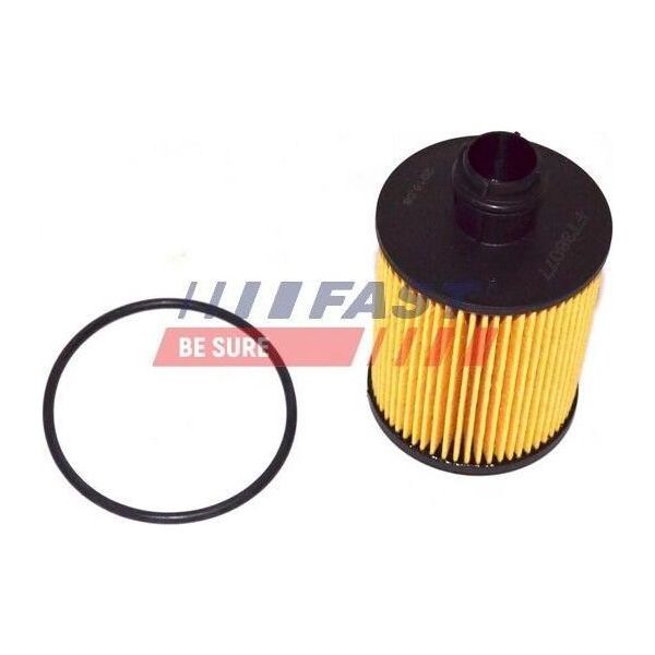 Filtro Olio Fast FT38077 Elemento Filtrante Per Opel Corsa D Hatchback (S07) Astra J Sports Tourer (P10) Astra J Meriva B (S10) Combo Box/Station Wagon (X12)-image
