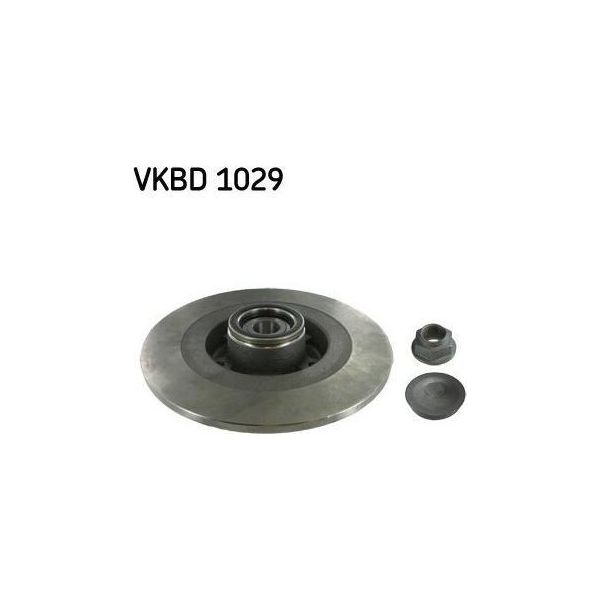 2X Skf Disco Freno Vkbd 1029 Per Renault ScéNic Iii (JZ0/1_) 90Mm 290Mm-image