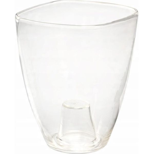 Astuccio Per Orchidee In Plastica 12 Cm Trasparente-image