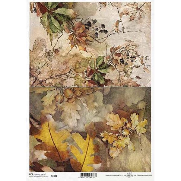 Itd Carta Di Riso Decoupage Tecnica Artigianale Tovagliolo Di Carta-R2302 Viste Autunnali, Piante, Autunno-image