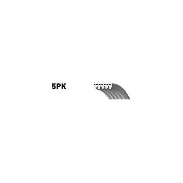 Gates 5PK1148 Keilrippenriemen Oe 46820378 Kompatibel Mit Previa, Avensis, Combo, Space Wagon, Space Runner, Ypsilon, Musa, Delta, Renegade, City, Ka, Tipo, Stilo, Qubo, Punto, Panda, Linea, Idea, Grande Punto, Fiorino, Doblo, Bravo, 500X, 500L, 500C, 500, Beretta, Mito, Giulietta-image