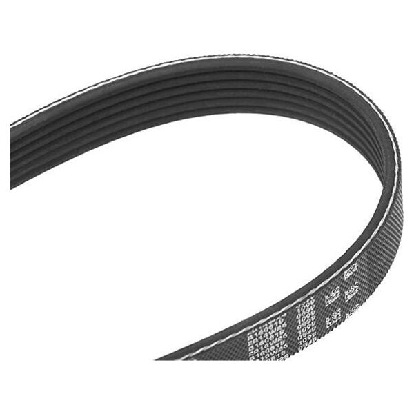 Gates 6PK975 Cinghia Trapezoidale Dentata Oe 60625590 Compatibile Con Vento, Up, Sharan, Polo 6V, Polo 6R, Passat 35I, Load Up, Golf Iii, Golf Iv, Crafter, Corrado, V70, V60, V50, S80, S60, S40, C30, Fabia, Citigo, Toledo, Mii, Ibiza, Cordoba, Partner, 508, 5008, 407, 308, 307, 3008, 208, 207, 206, 2008, 1007, Clubman, Mini, 3, 2, Ix35, Elantra, Transit, Tourneo, Ka, Fusion, Focus, Fiesta, Ecospor-image