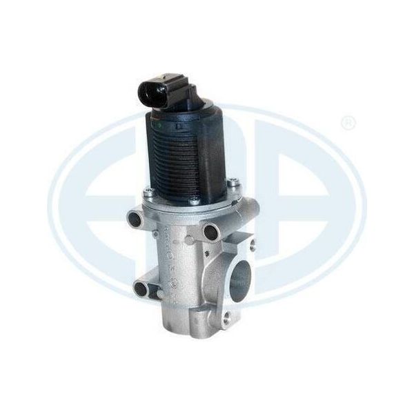 Era 555030 - Oe 46 785 766 Agr-Ventil FüR 145 (930), 146 (930), 147 (937), 156 (932), 166 (936), Bravo, Doblo, Idea, Marea, Brava, Multipla, Punto, Stilo-image