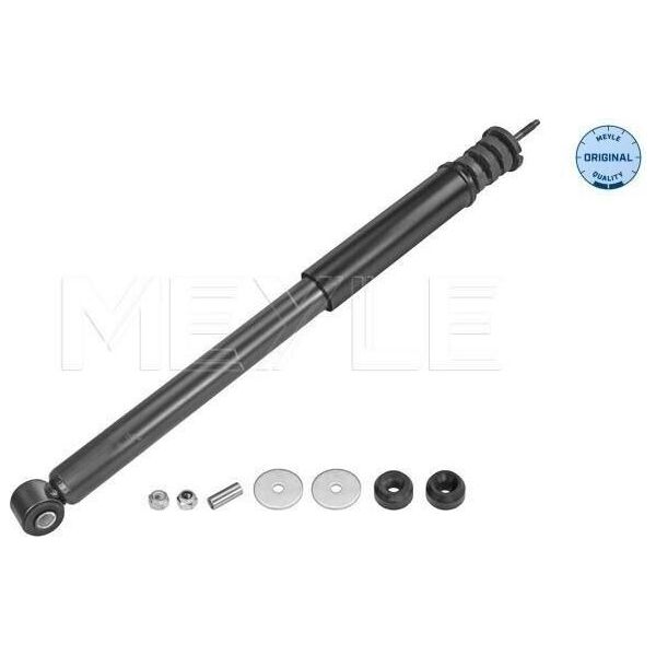 Meyle 16-26 725 0008 - Oe 8200742812 Ammortizzatore, Asse Posteriore Per Aveo (T250, T255), Logan, Sandero, Logan I, Logan Ii-image