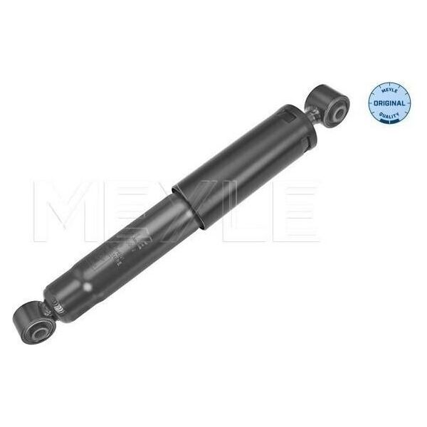 Meyle 16-26 725 0002 - Oe 77003 08589 Ammortizzatore, Assale Posteriore Per Aveo (T250, T255), Golf Iii (1H), Kangoo (Fc), Kangoo (Kc)-image