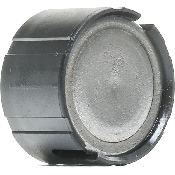 Ridex 48R0004 - AusrüCklager Oe 020 141 165 Per A3 (8L), Cordoba (6K), Ibiza (6K), Inca (6K), Leon (1M1), Toledo I (1L2), Toledo Ii (1M2), Octavia I (1U), Octavia Ii (1Z), Bora (1J), Caddy Ii (9K), Golf Iii (1H), Golf Cabriolet (1E), Golf Iv (1J), Jetta Ii (165, 19E, 1G2), Polo (6V), Vento (1H)-image