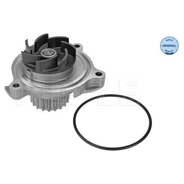 Meyle 113 220 0022 - Oe 076 121 005 A Pompa Acqua Per Crafter (2E), Crafter (2F)-image