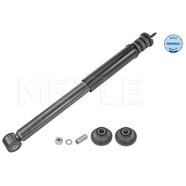 Meyle 16-26 725 0015 - Oe 8200368122 Ammortizzatore, Asse Posteriore Per Aveo (T250, T255), Twingo Ii (CN0)-image