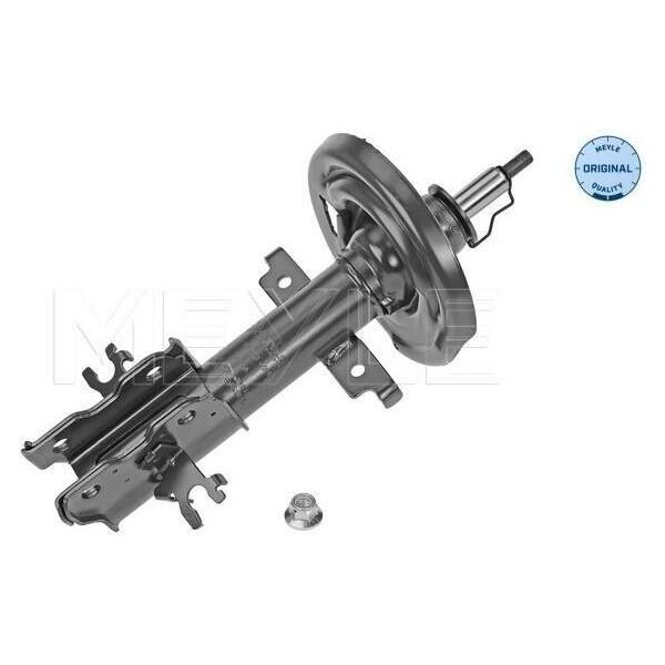 Meyle 16-26 623 0014 - Oe 543020030R Ammortizzatore, Asse Anteriore Per Aveo (T250, T255), Laguna Iii-image