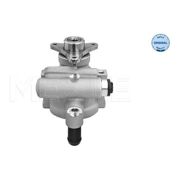Meyle 16-16 631 0006 - Oe 49110 0920R Servopompa Per Golf Iii (1H), Primastar (X83), Movano (X70), Vivaro (J7), Vivaro (F7), Vivaro A (E7), Vivaro A (X83), Espace Iv (Jk), Laguna I, Laguna Ii, Safrane Ii (B54), Trafic Ii (Jl), Trafic Ii (Fl), Trafic Ii (El), Vel Satis (BJ0)-image